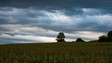 image06