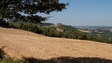image15
