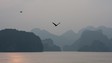 image06